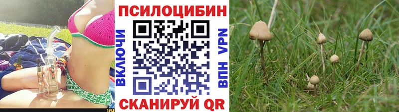 Галлюциногенные грибы прущие грибы Удомля